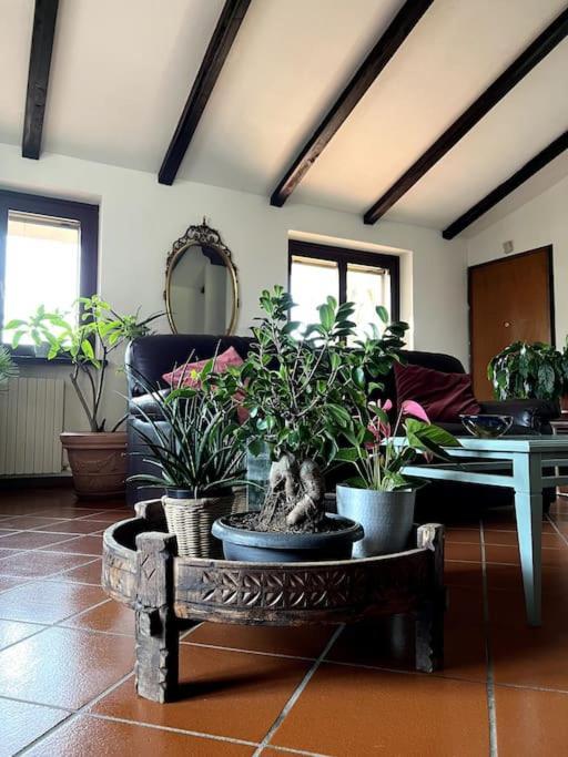 Apartment In Villa La Carruba Rivergaro Eksteriør billede