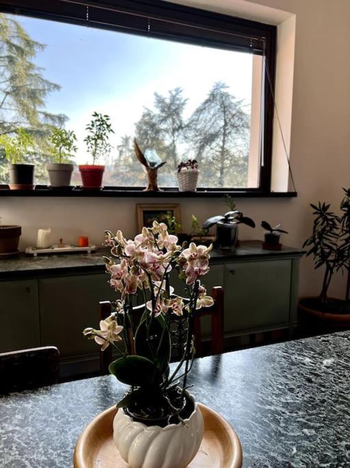 Apartment In Villa La Carruba Rivergaro Eksteriør billede