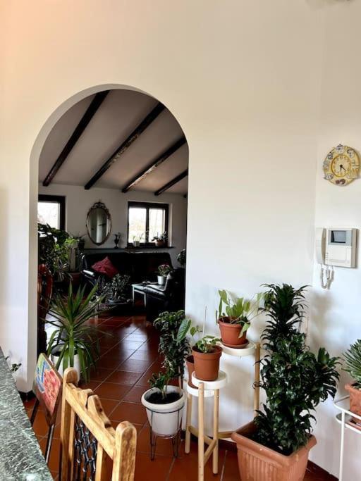Apartment In Villa La Carruba Rivergaro Eksteriør billede